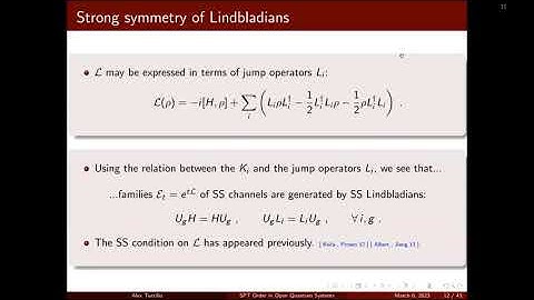 INT 21r-1a: A. Turzillo, "SPT Order in Open Quantum Systems"