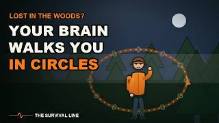 Lost in the Woods - Why Your Own Brain Walks You in Circles