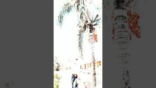 Download Lagu PRESET ALIGHT MOTION || DJ SAYANG BANGUN SAHUR VIRAL FYP TIK TOK ♥️ MP3