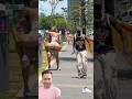video making prank #prank #shortsfeed #trending