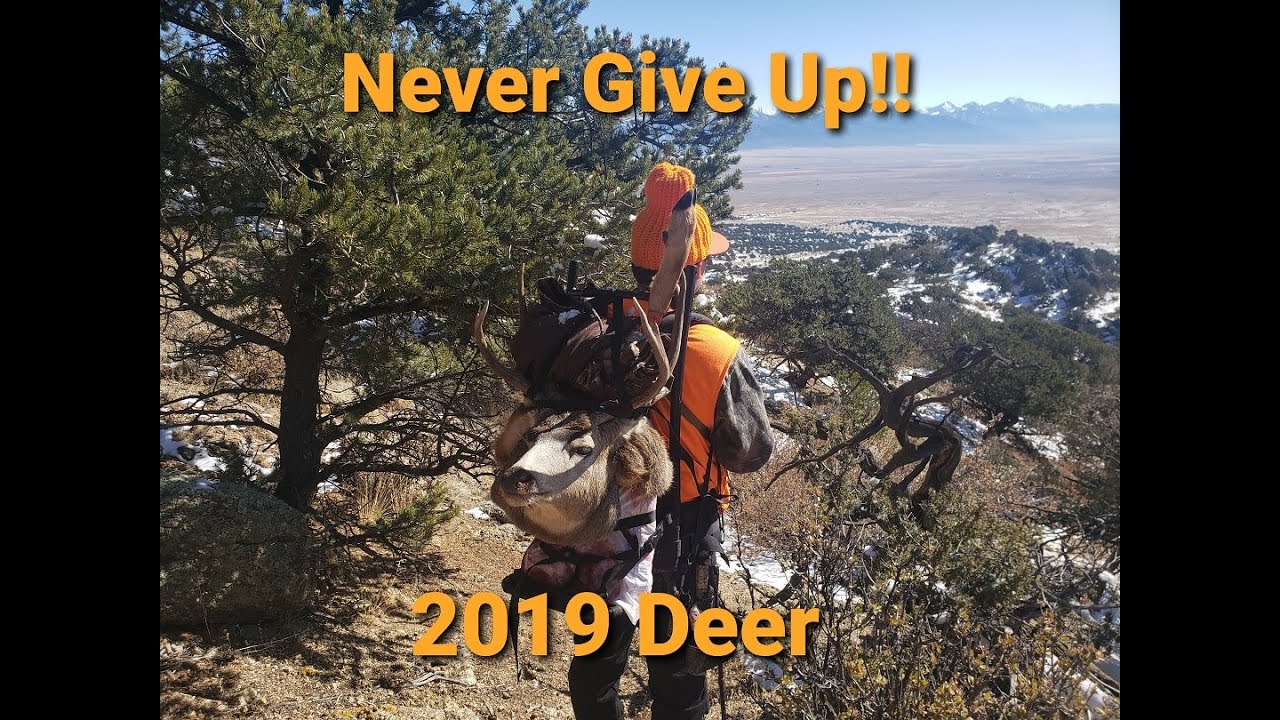 never-give-up-2019-colorado-leftover-tag-mule-deer-hunt-video-youtube
