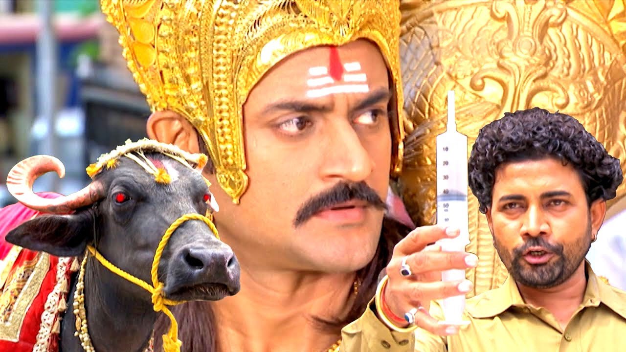 यमराज के भैंसे को टीका लगाकर जब पशु केंद्र वाले उठा ले गए | Yamraj Comedy @minitv86