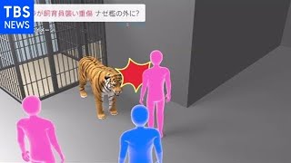 トラに噛まれ飼育員重傷 助けに入った２人もけが 栃木・那須町