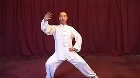 Trần Thức Thái Cực Cơ Bản Công - Định bộ Triền Ty Công