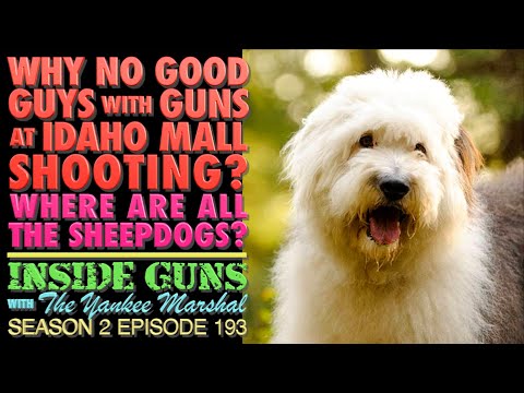 Why No "Good Guys with Guns" at Idaho Mall Shooting? (Where Are the Sheepdogs?)