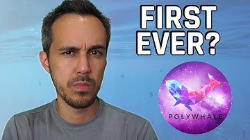 Polywhale - The FIRST Yield Farm on Polygon