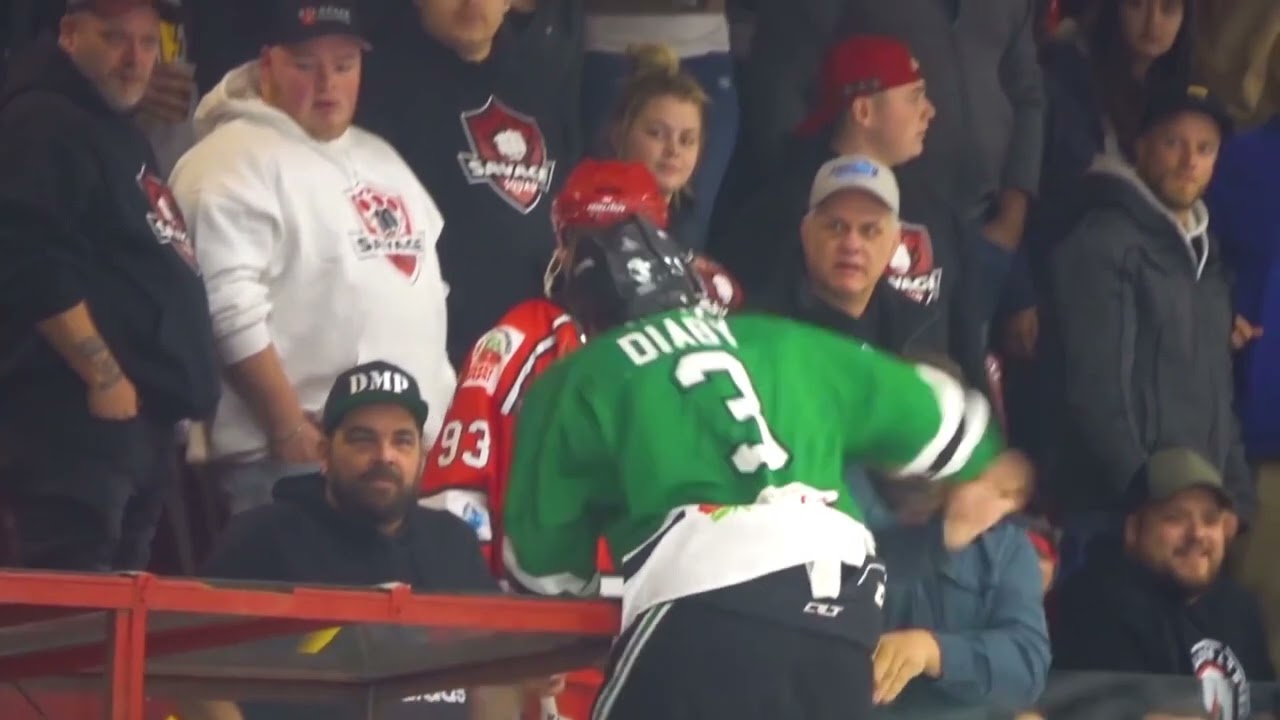 Diaby Fights Racist Fan in the Stands (Shoresy Reference Actually Happened)