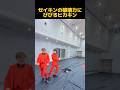 ヒカキン、セイキンの破壊力にびびる#shorts #ヒカキン #切り抜き