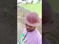 construção de uma horta na escola 11 negras território quilombola#agroecologia #quilombolas 🌱🌴🔥