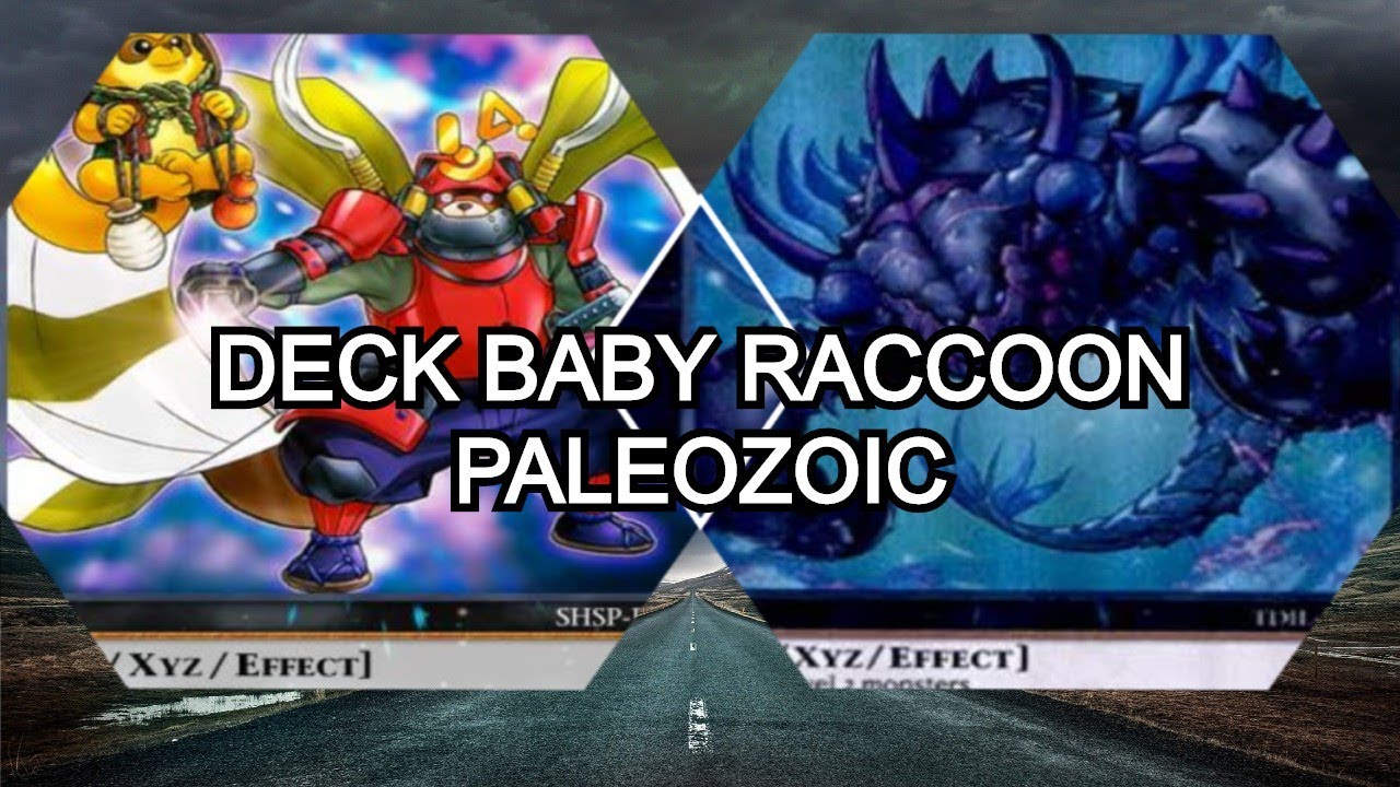 Yu-Gi-Oh! Baby Raccoon Paleozoic - Deck Profile 2020