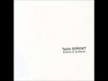 Sot #1 - Tobin Sprout. From 'Demos and Outtakes' 2001