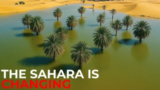 Sahara Desert Experiences Rare Flooding – Climate Red Flags Ahead?