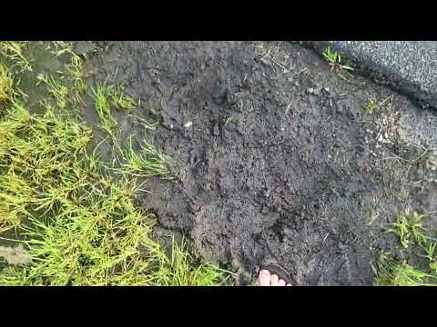 sandles in mud