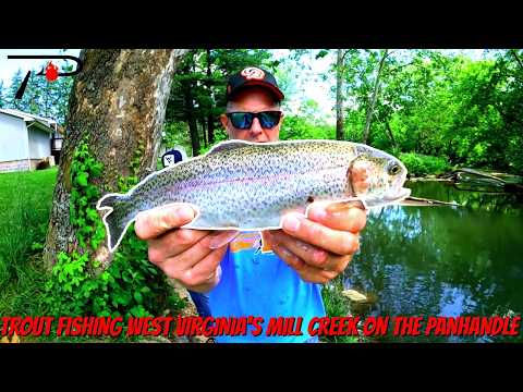 Mill Creek Trout Fishing in West Virginia’s Eastern Panhandle