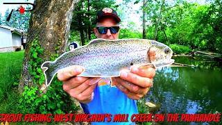 Mill Creek Trout Fishing in West Virginia’s Eastern Panhandle