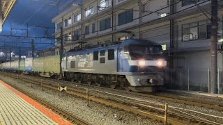 31ftコンテナフル満載！！EF210-145牽引貨物列車 1050レ　大船駅通過
