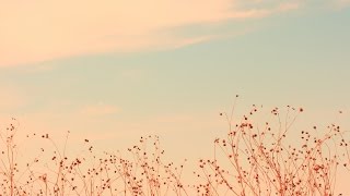 Hey Rosetta - Yer Spring
