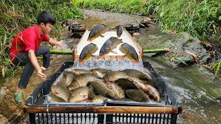 Lam used a wooden slide and a trash can. He was lucky enough to catch a large haul of fish.