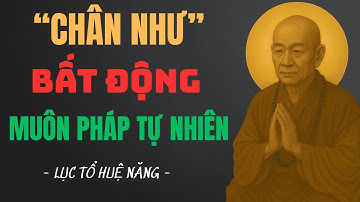 Chân Như Bất Động – Muôn Pháp Tự Nhiên | Pháp Thoại Sâu Lắng Lục Tổ Huệ Năng Giúp Tâm An Nhiên