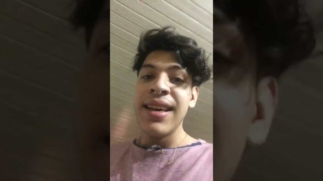 el gato come brownie