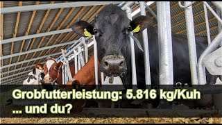 Grobfutterleistung der Kuh einfach genau berechnen! Bist du besser? #kuh #milch