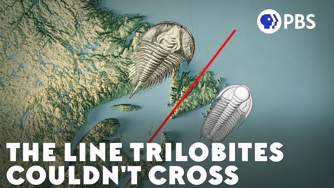 There’s An Invisible Ocean Between These Fossils