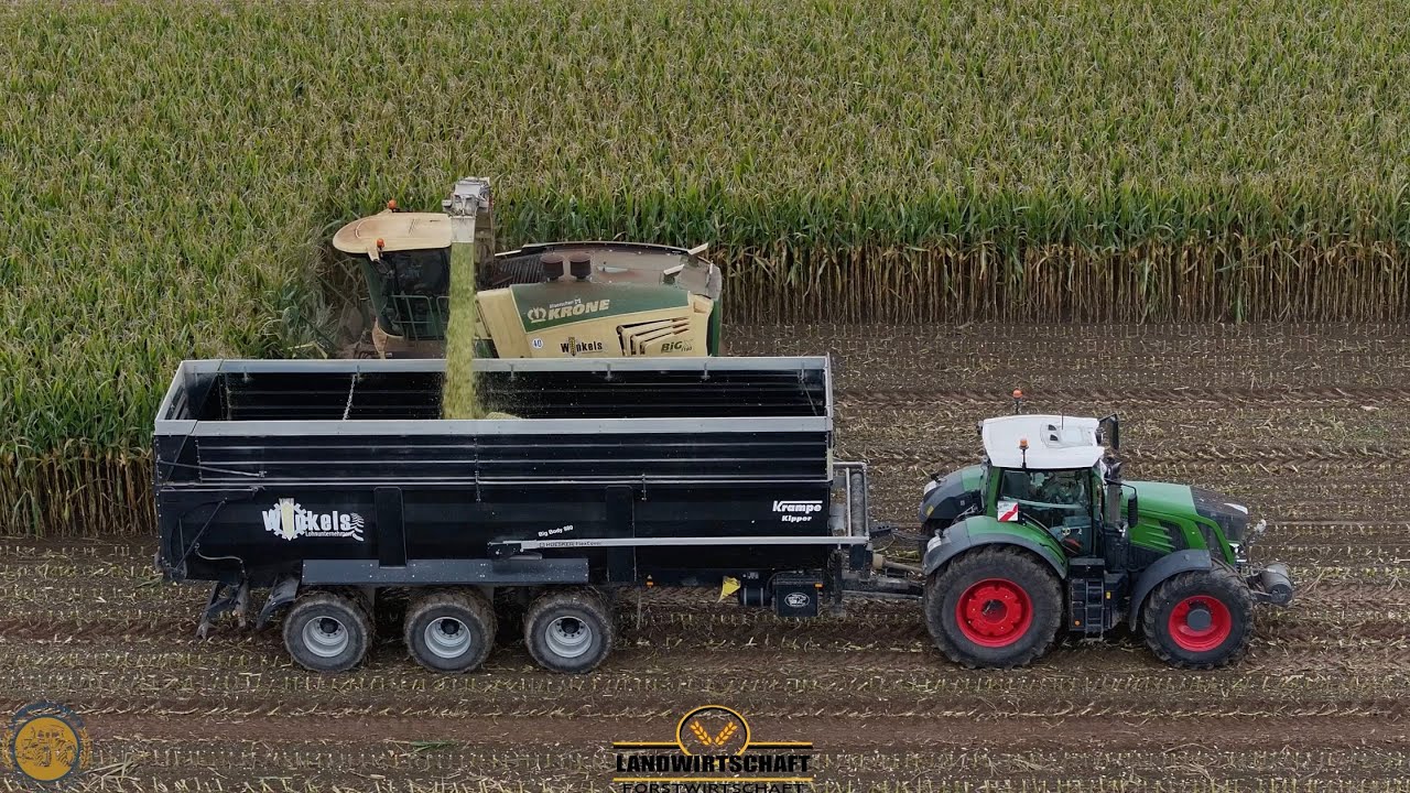 Vorwärts kann jeder wir fahren Rückwärts! LU Winkels Mais mit 44T/Ha Häckseln für BGA Maisernte Mais