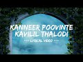 Kanneer Poovinte Kavilil Thalodi Song (Lyrics)| Black Memories