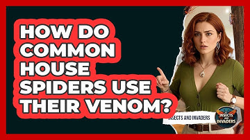 How Do Common House Spiders Use Their Venom? - Insects and Invaders