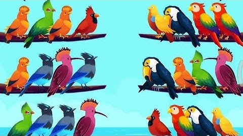 Bird sort-color puzzle classic level 20 games play video