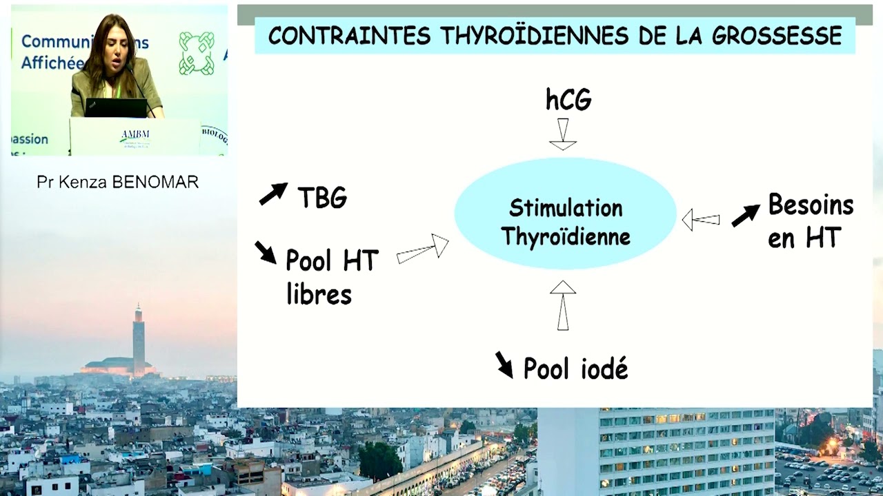 Dépistage des dysthyroidies en pré conceptionnel ou pendant la grossesse  Pourquoi Quand et comment