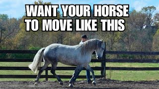 How to Improve Your Horse’s Posture at Liberty | Target Training