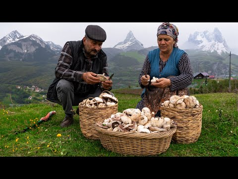 Видео: Сбор и Приготовление Грибов в Горах