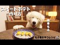 犬おやつ手作りレシピ｜スイートポテトの作り方【もふ飯】