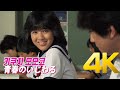 [4K 60FPS MAD MV] 키쿠치 모모코(菊池桃子) - 青春のいじわる  (영화 パンツの穴 1984 편집) 4K AI Upscaling