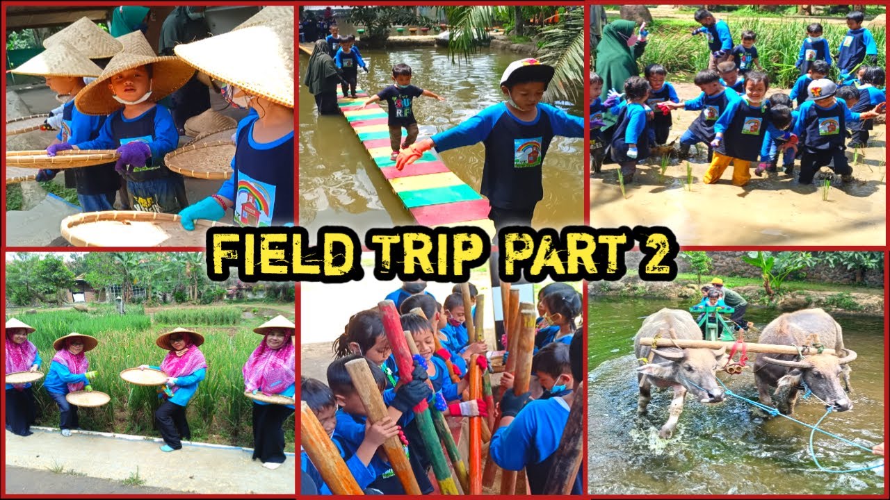 Wisata Edukasi Pelita Desa Cise'eng Bogor | Field Trip Part 2 | TK Terang Tugava Kebon Jeruk