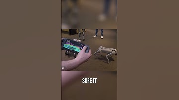 Lidar Navigation: How Robots Avoid Obstacles Easily