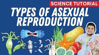 TYPES OF ASEXUAL REPRODUCTION | SCIENCE 7 QUARTER 2 WEEK 5