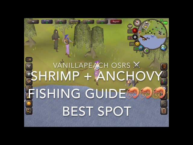 best place to lure fish in runescape OSRS Beginner Fishing Guide Shrimp and Anchovy Best Spot