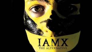 Watch Iamx She video