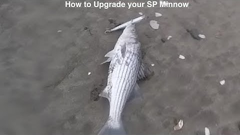 How to upgrade treble hooks - SP Minnow and the Striped Bass Catch