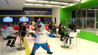 Miami Marlins Harlem Shake