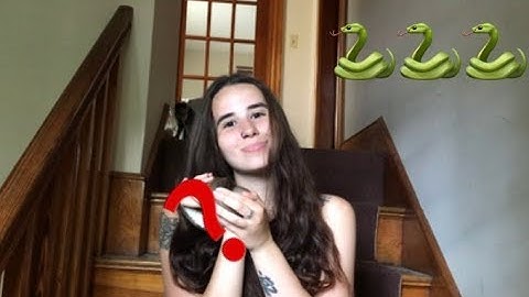 Meet My New Ball Python (And help me name him!)