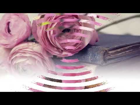 شكر وعرفان لـ معلمات حلقات القرآن والمشرفات