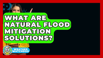 What Are Natural Flood Mitigation Solutions? - Weather Watchdog