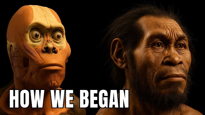 The Evolutionary Journey: A Complete History of Humankind