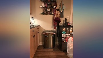 NINESTARS Automatic Touchless Infrared Motion Sensor Trash Can//Recycler with D review