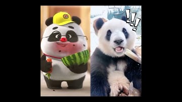 【Bamboo Panda❤️】Big hug from Bamboo 🥳🥳 | Chinese Short Animation I熊猫班卜 #shorts