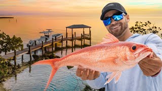 You won't BELIEVE what this fish ate! [Florida Keys deep dropping for Queen  Snapper catch and cook] 