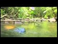 Sri Lanka Tourism 2
